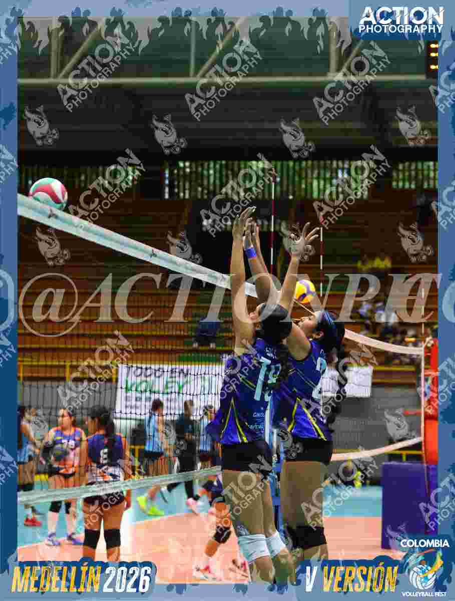 TIGRES F Foto 4