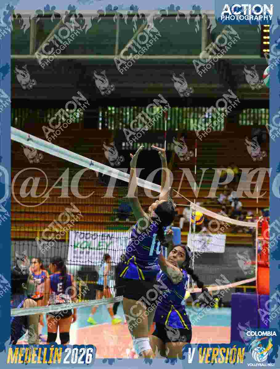 Preview de TIGRES F