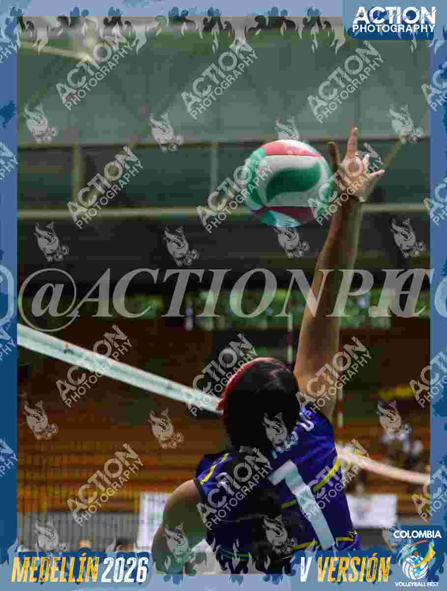 TIGRES F Foto 13