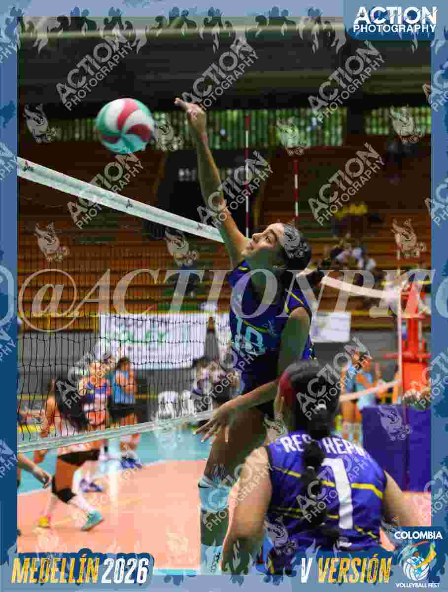 TIGRES F Foto 13