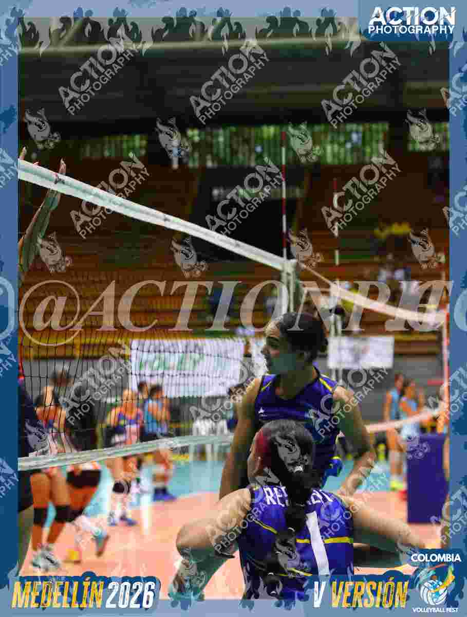 TIGRES F Foto 4