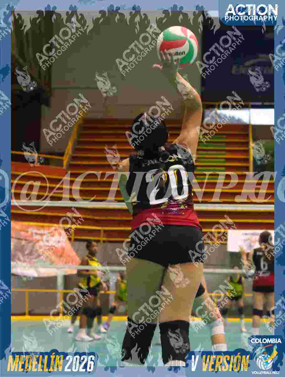 FALCON Foto 1