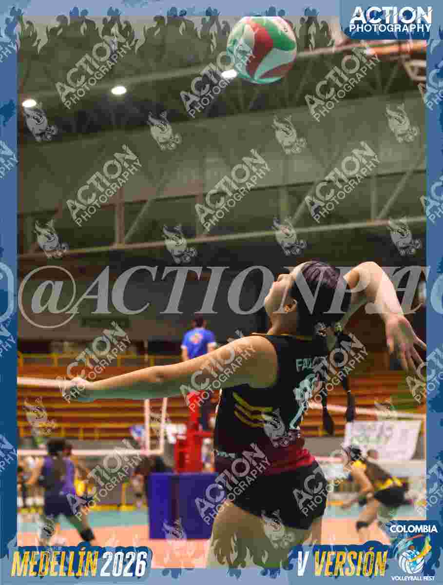 FALCON Foto 11