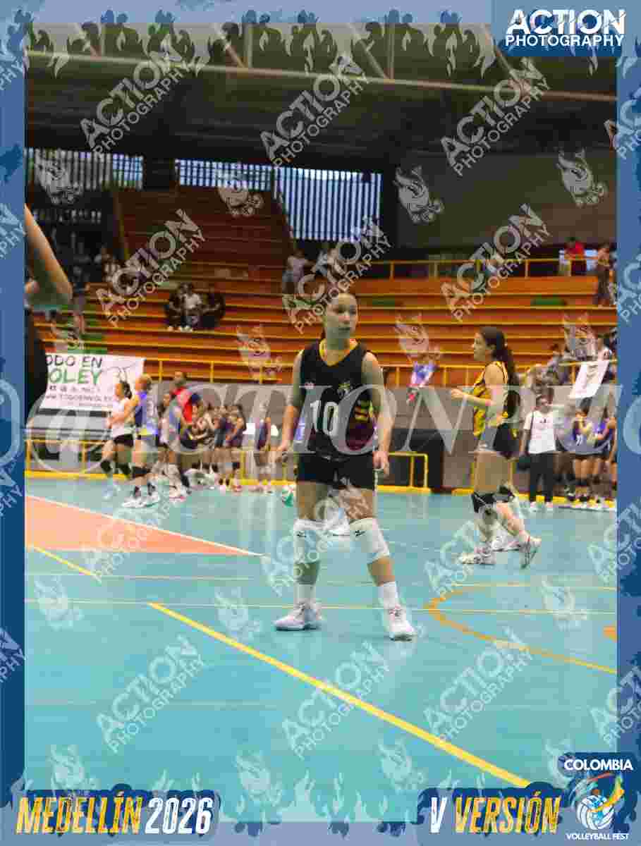 FALCON Foto 1