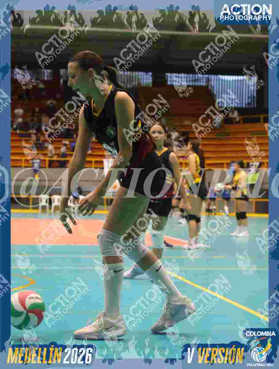 FALCON Foto 11