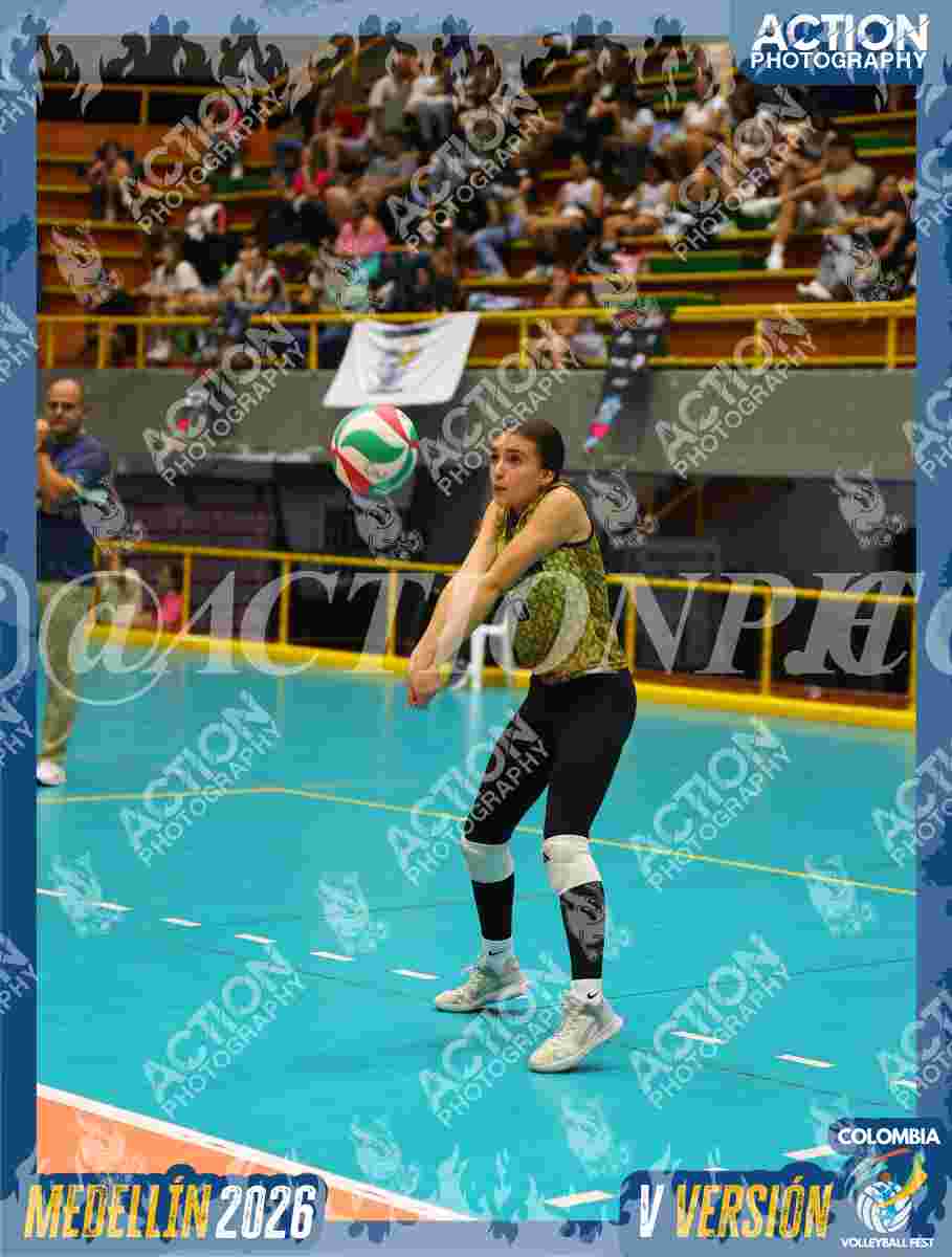 GOLDEN Foto 5
