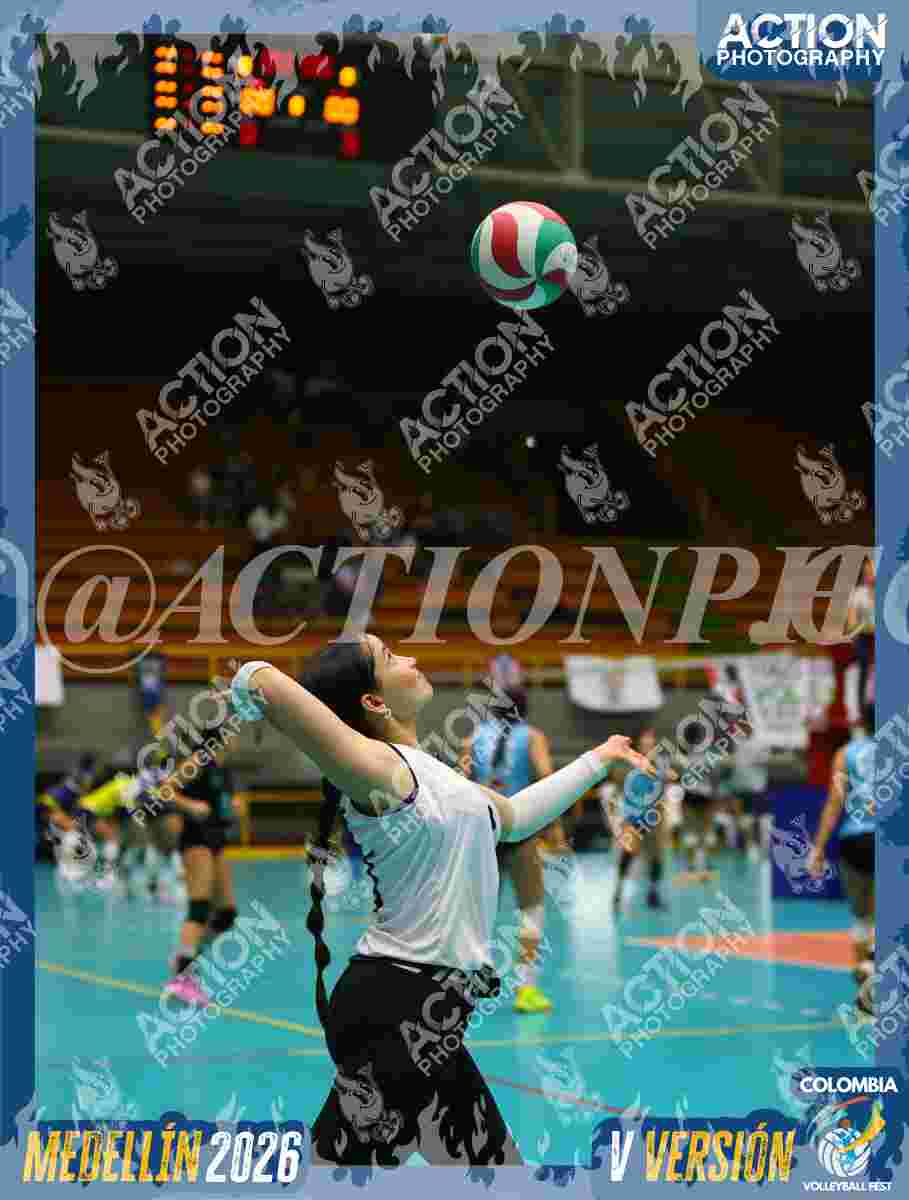 Preview de GOLDEN