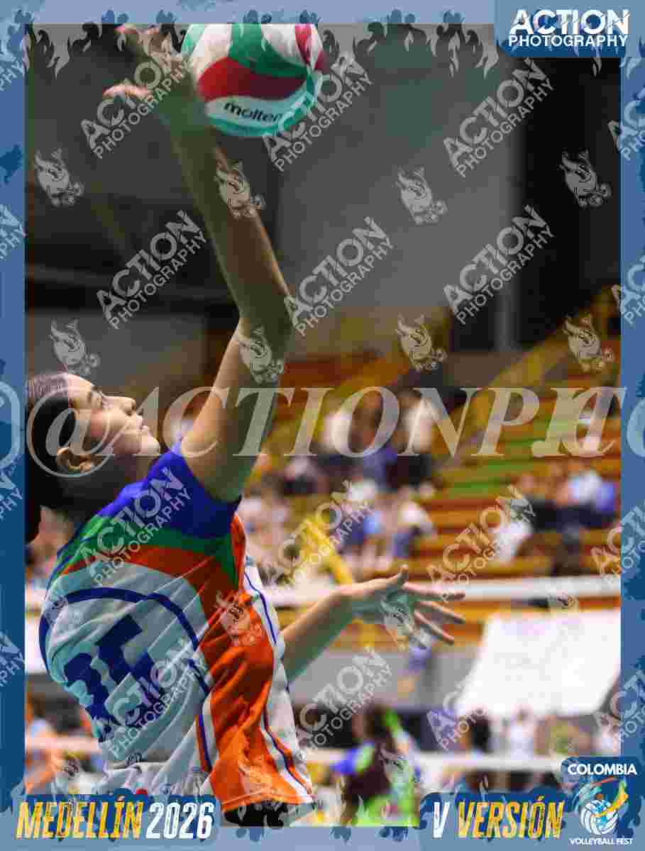 POTROS BLACK Foto 1