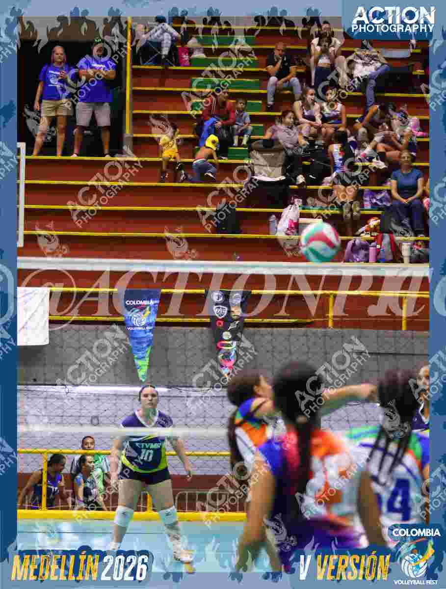 Preview de POTROS BLACK