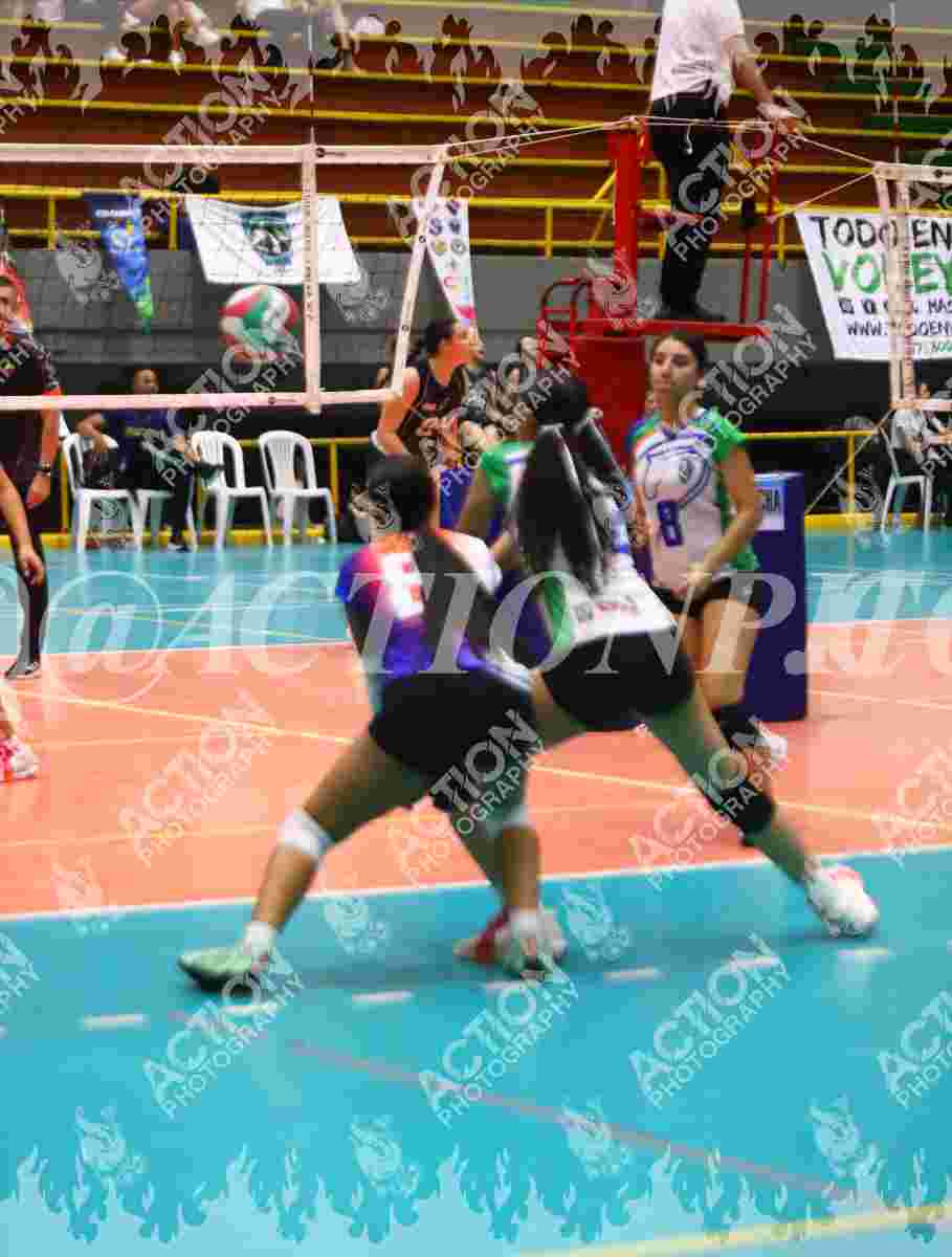 POTROS SPORTS BLUE Foto 1