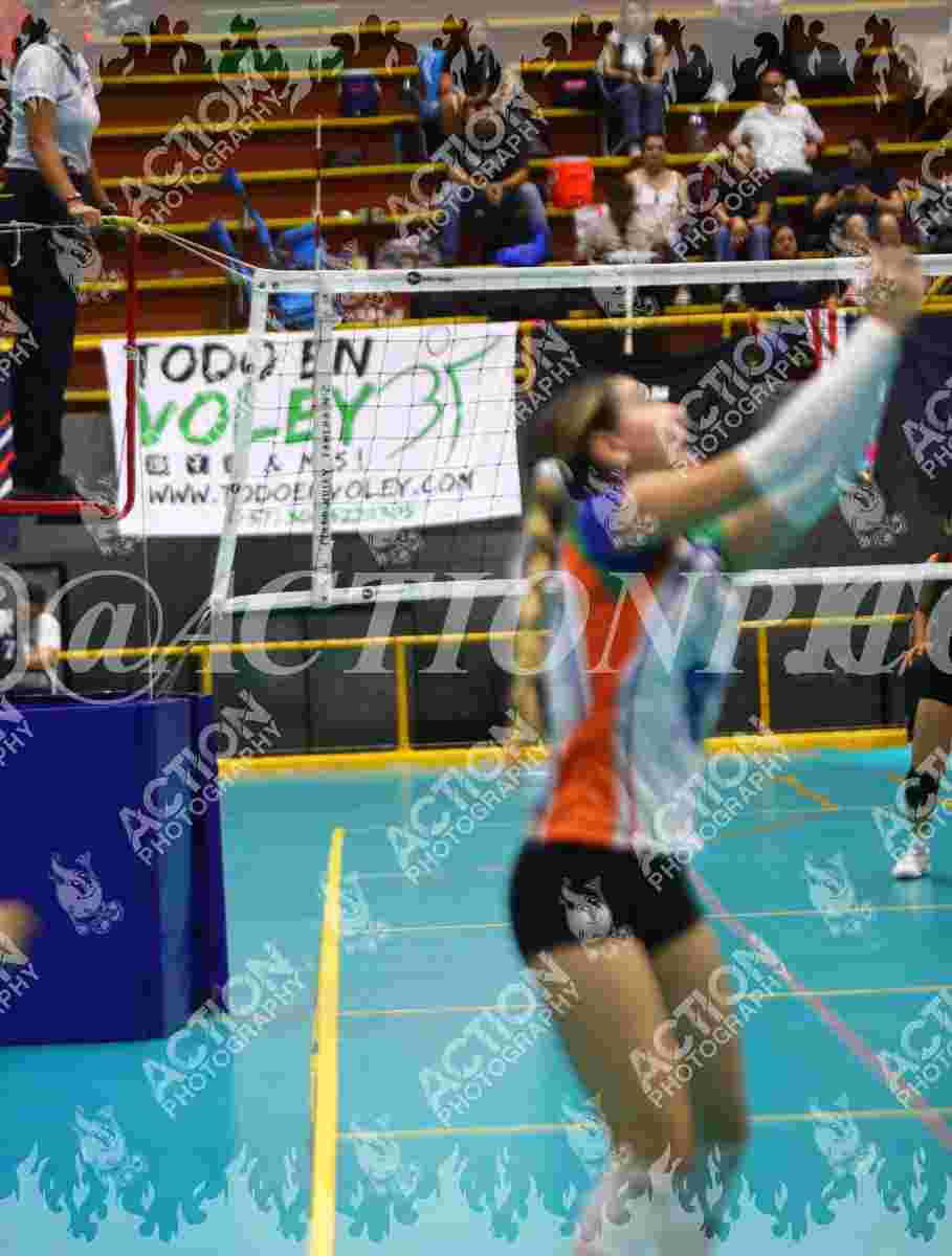 POTROS SPORTS BLUE Foto 1