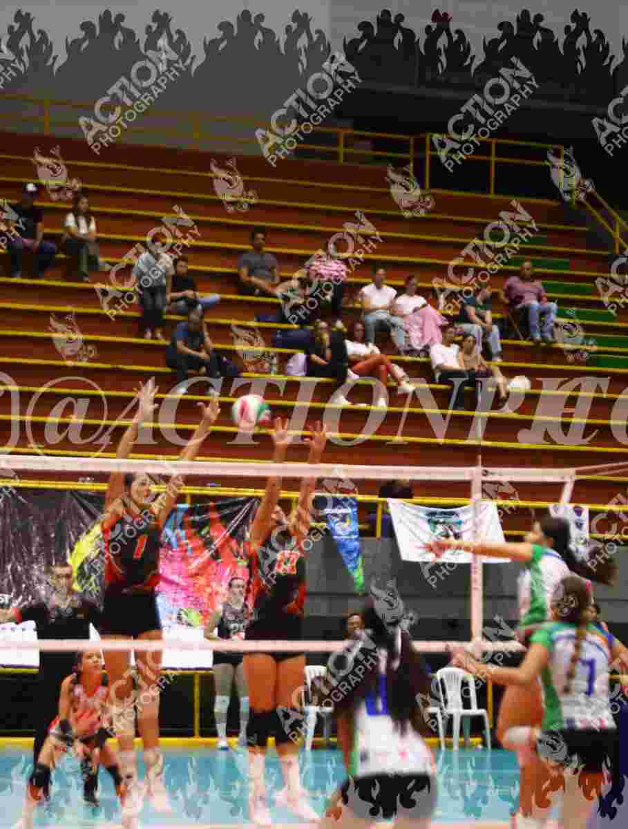 POTROS SPORTS BLUE Foto 1