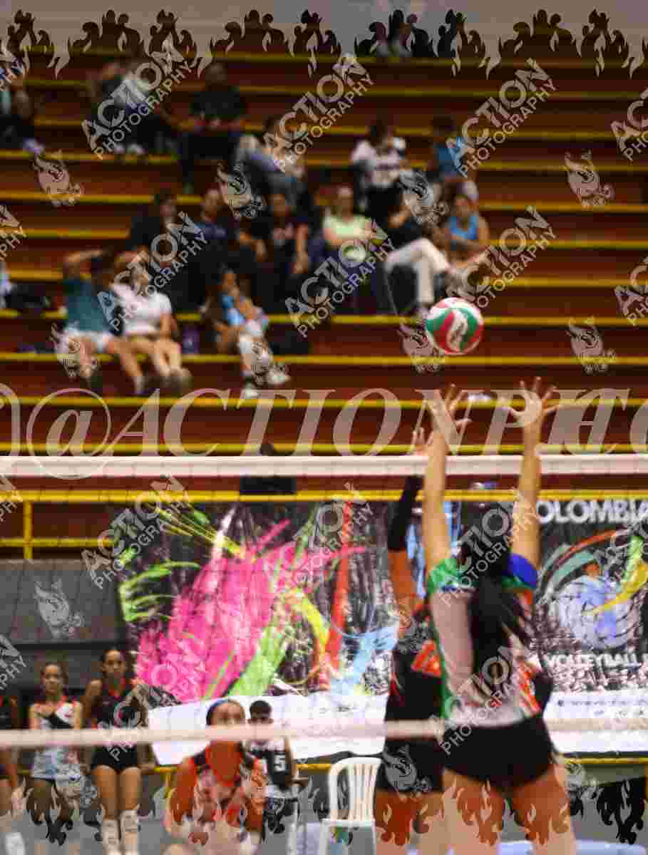POTROS SPORTS BLUE Foto 11