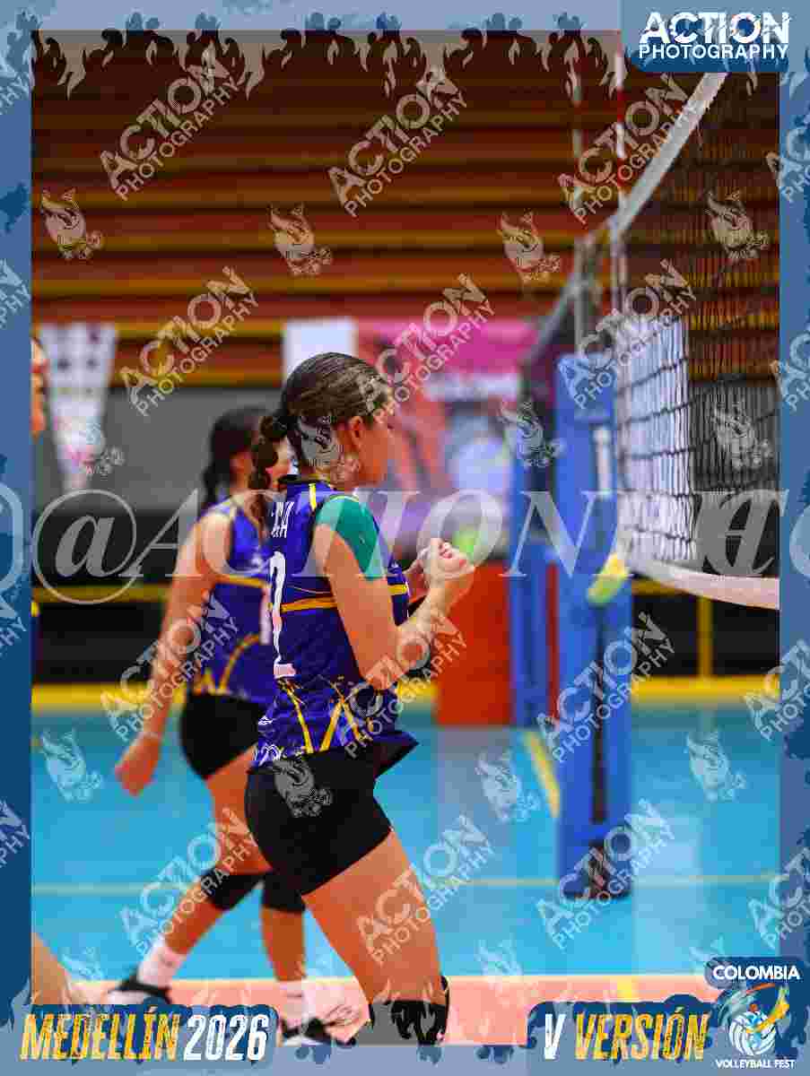 TIGRES D Foto 1