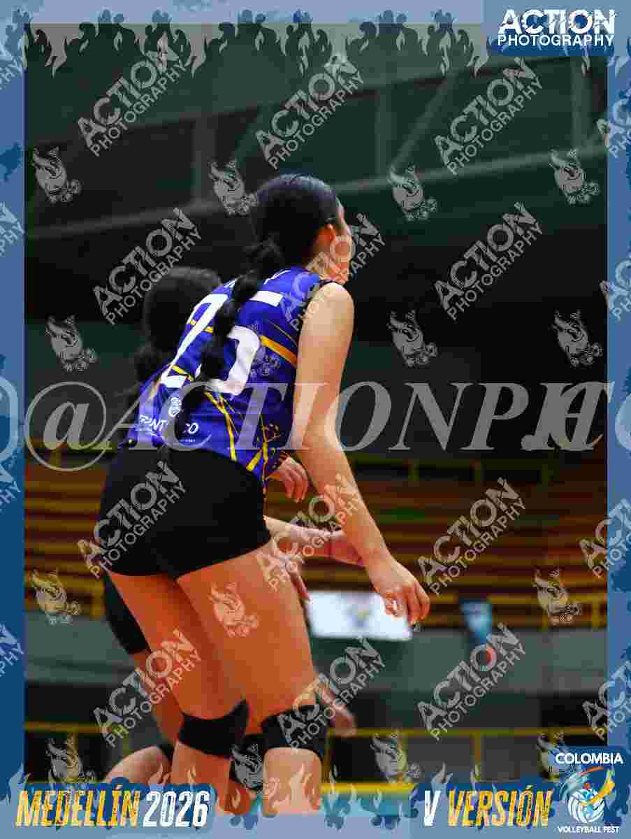 TIGRES D Foto 1