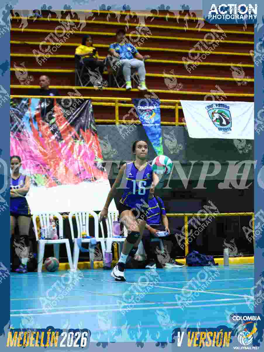 TIGRES D Foto 11
