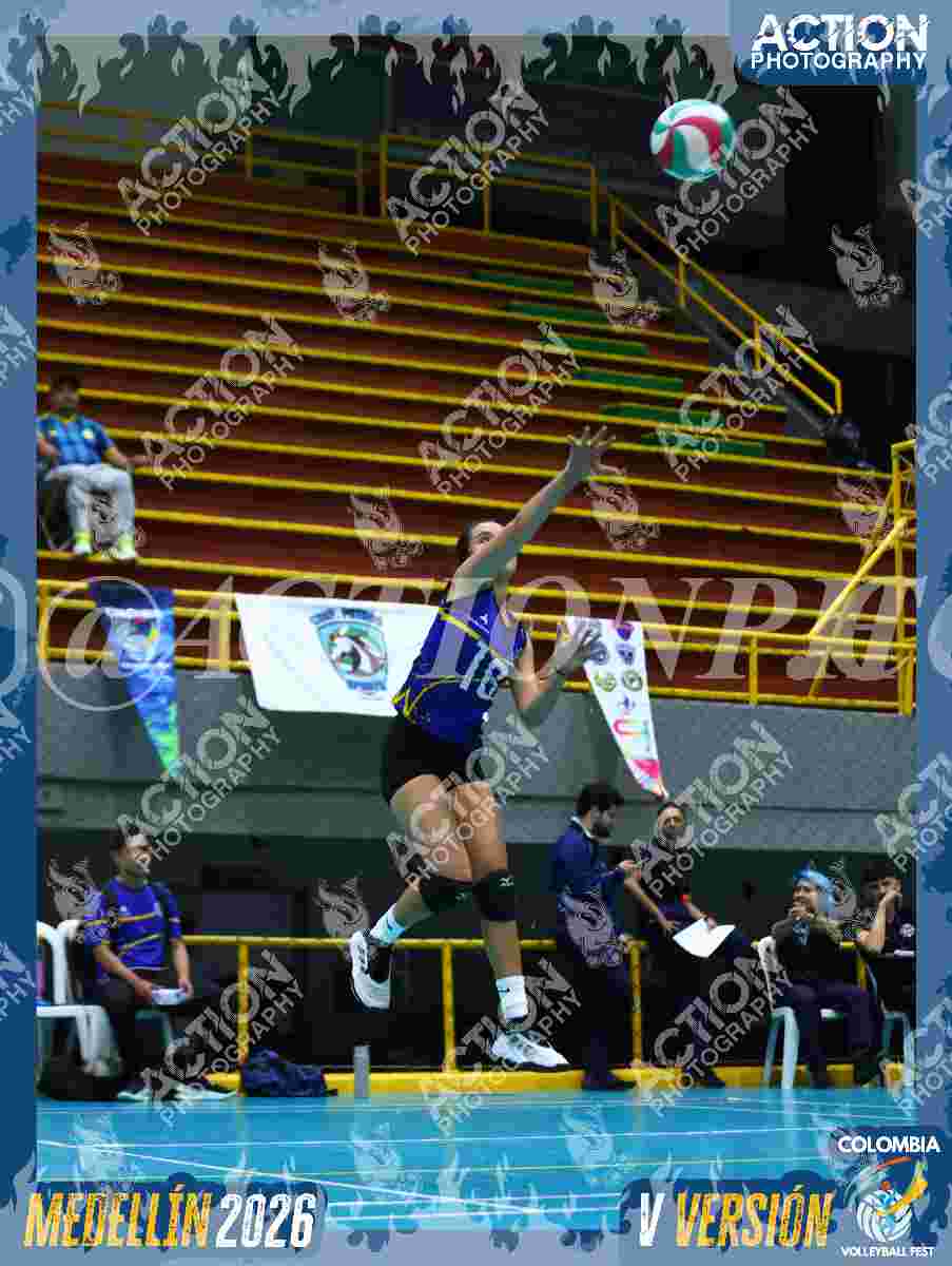 TIGRES D Foto 1
