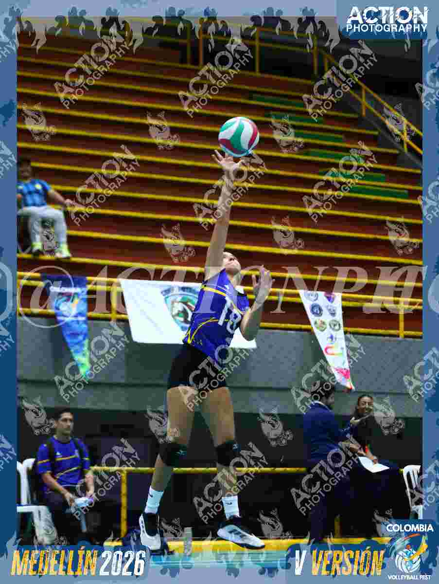 TIGRES D Foto 11