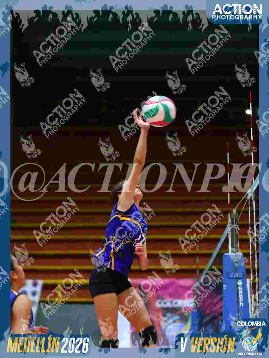 TIGRES D Foto 11