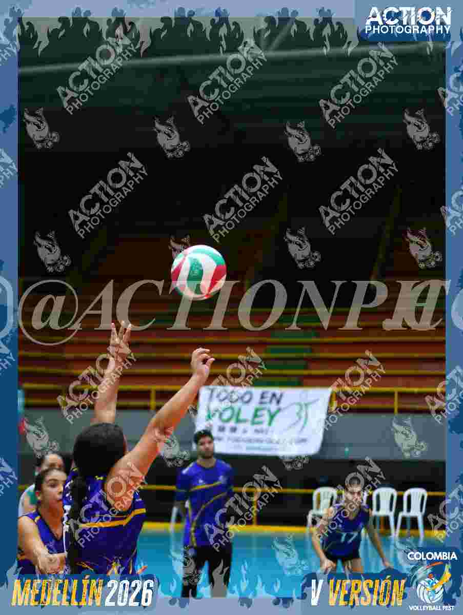 TIGRES D Foto 1