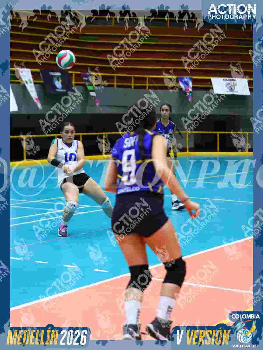 TIGRES D Foto 11