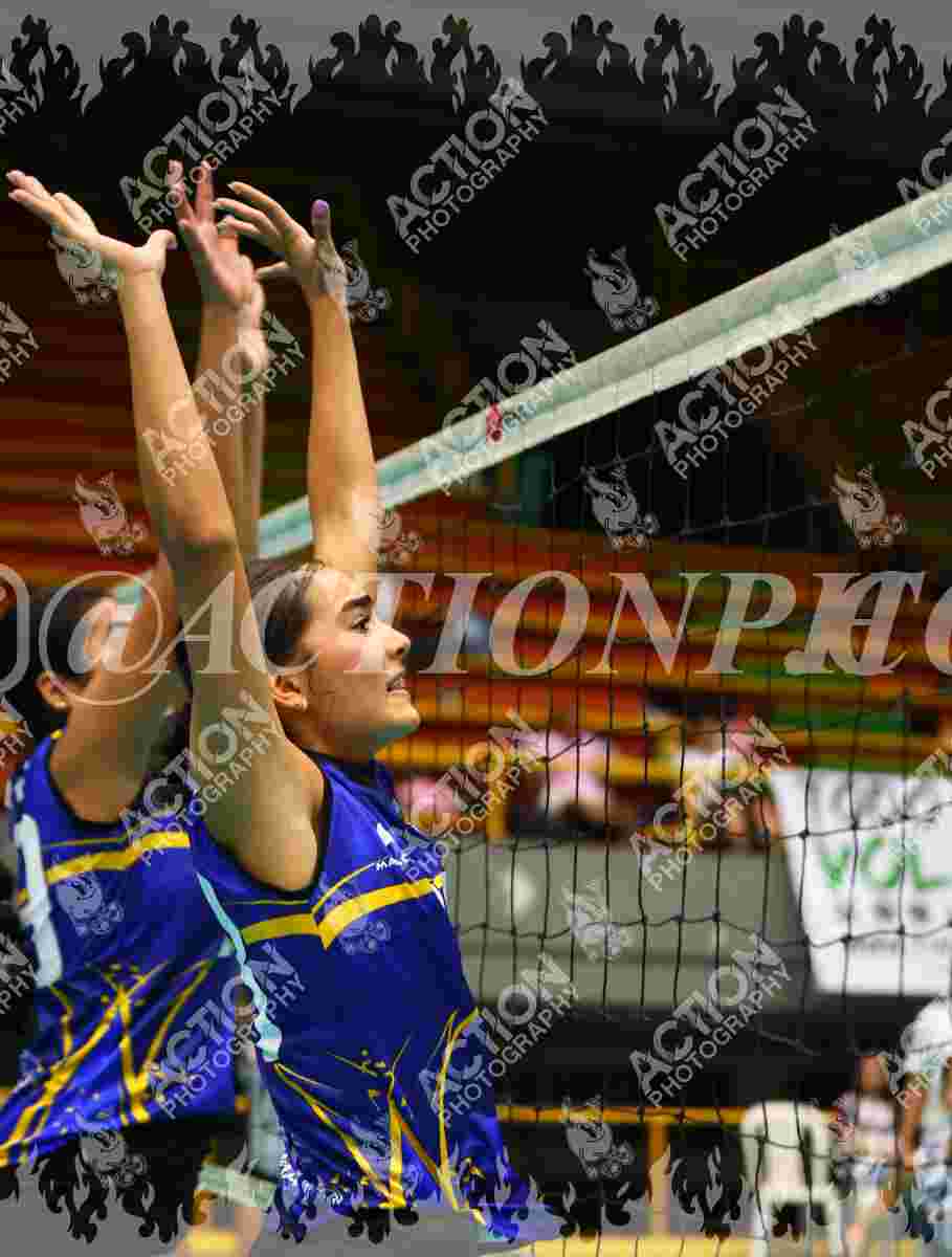 TIGRES F Foto 1
