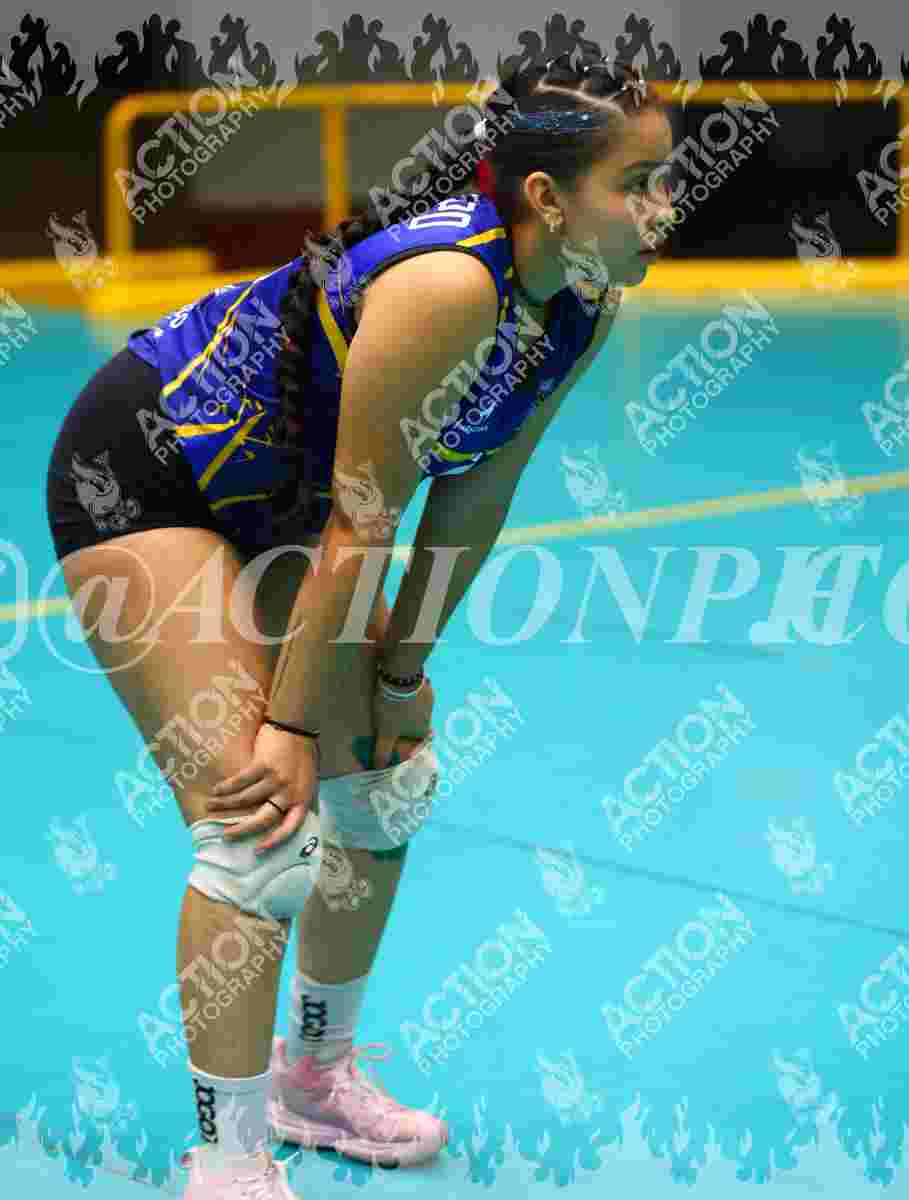TIGRES F Foto 1
