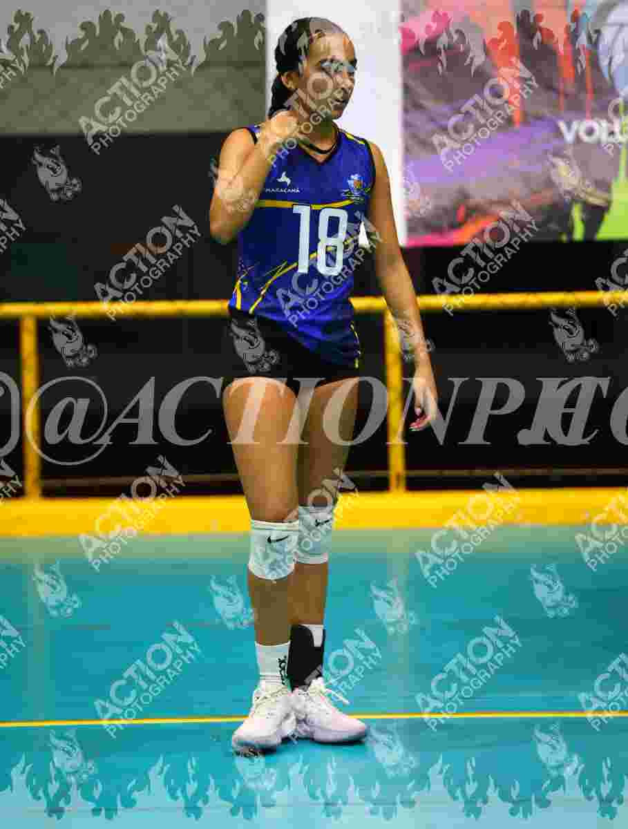 TIGRES F Foto 1
