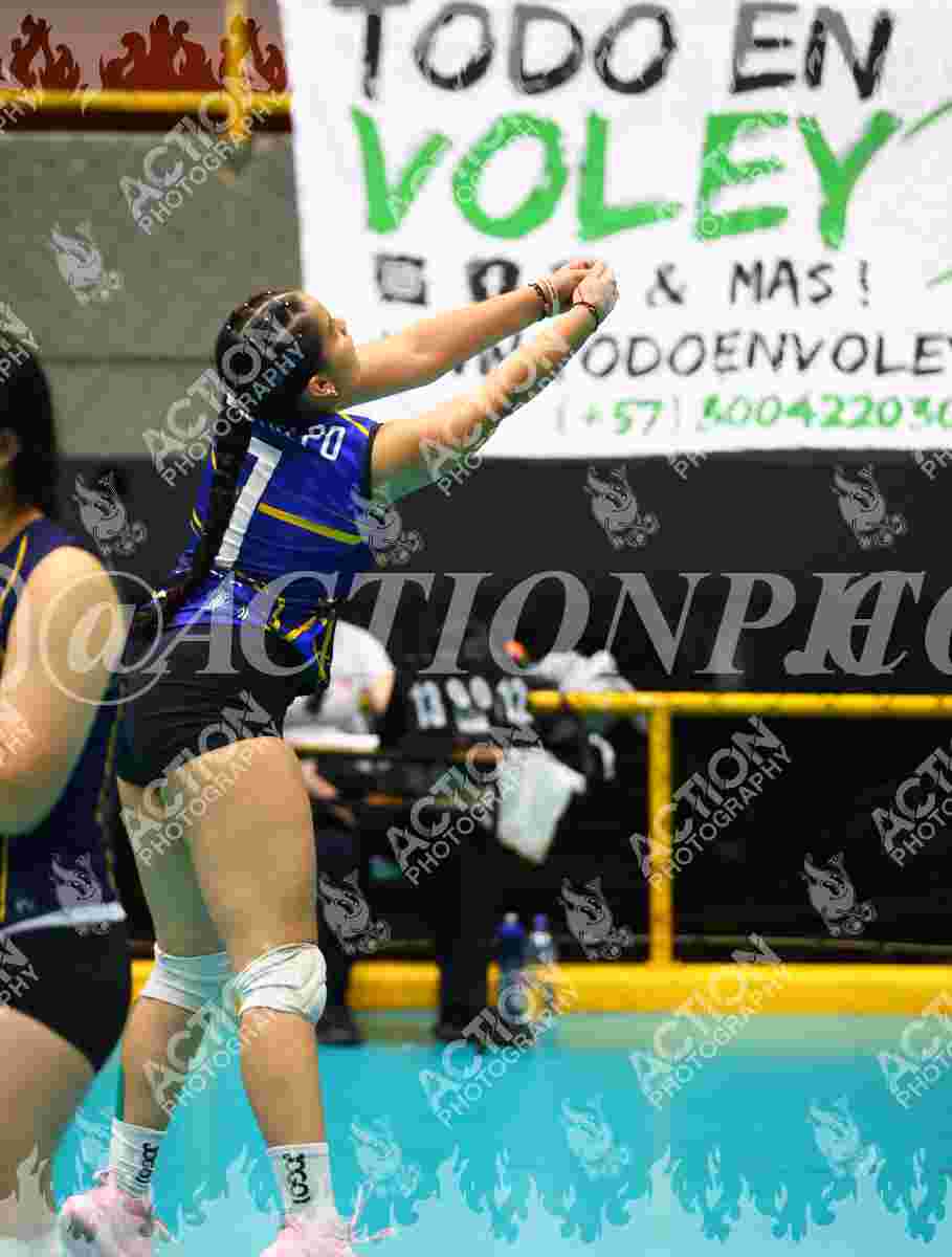 TIGRES F Foto 1