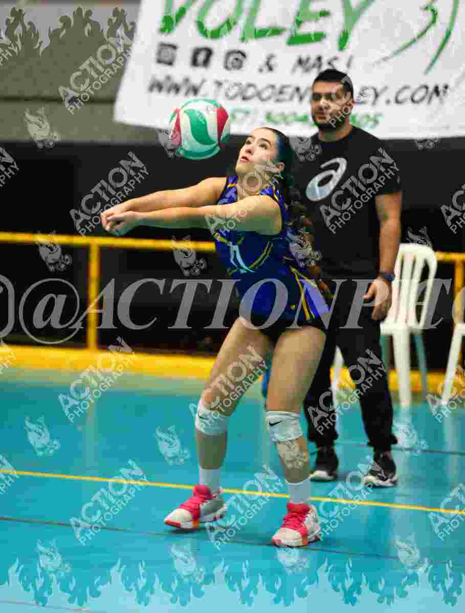 TIGRES F Foto 1