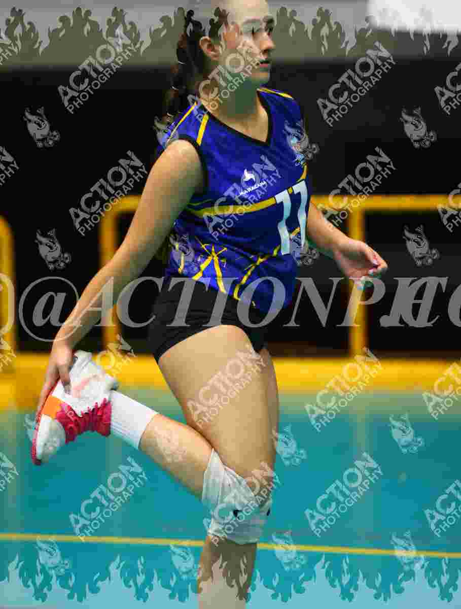 TIGRES F Foto 1