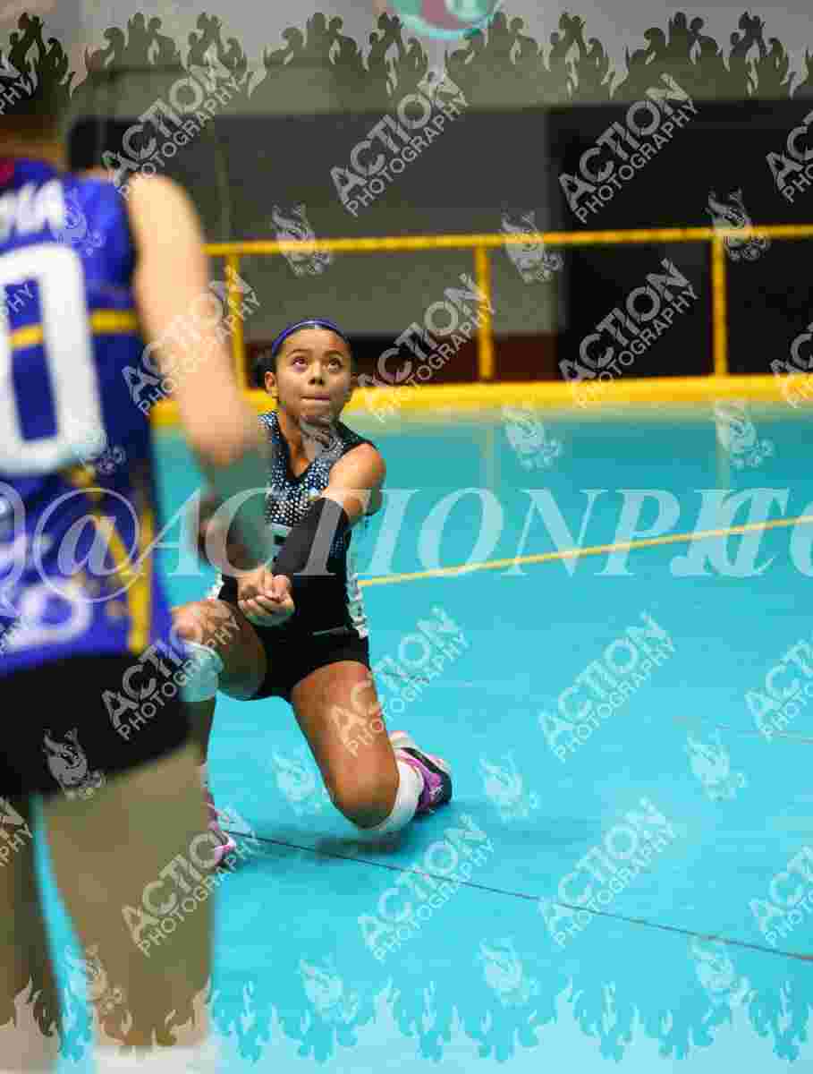 TIGRES F Foto 1