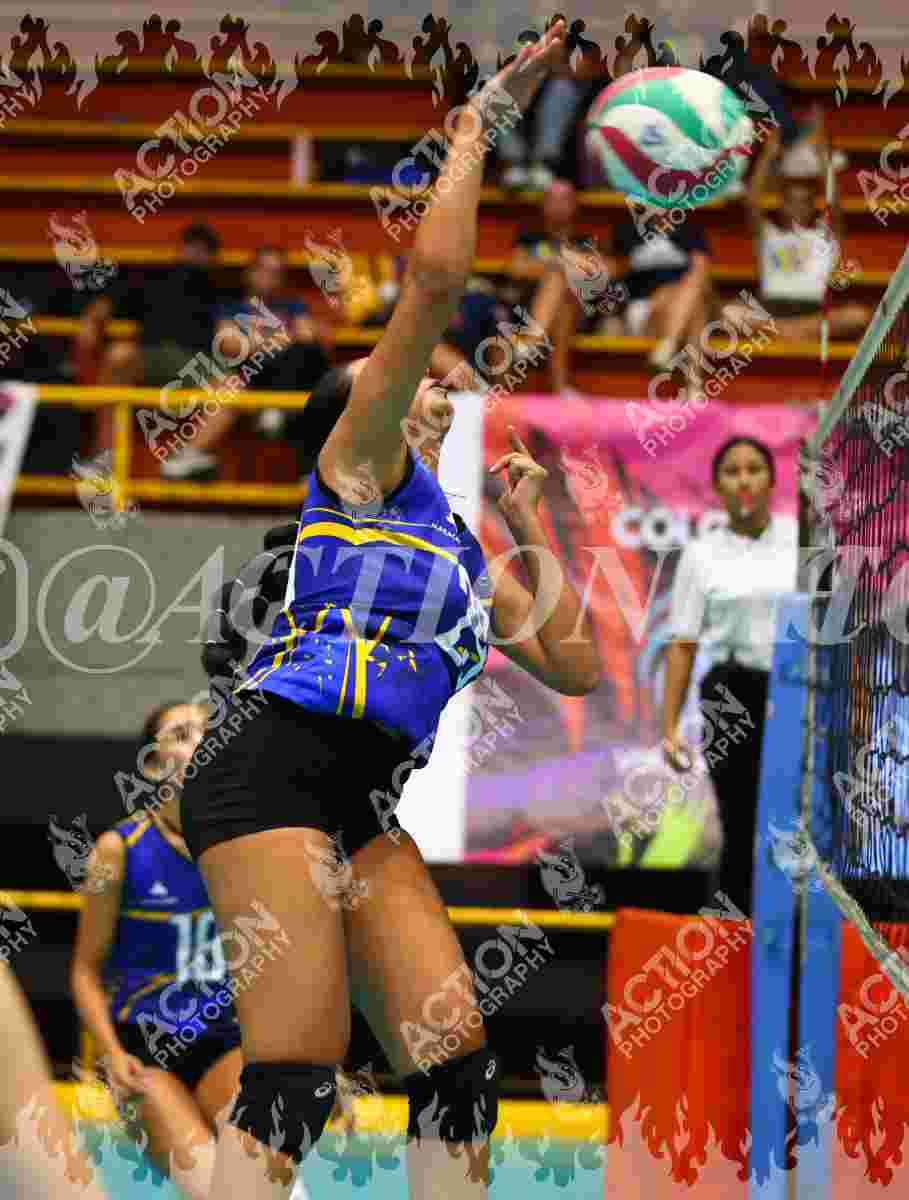 TIGRES F Foto 1