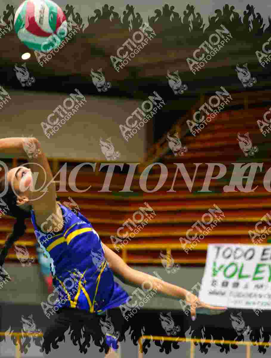 TIGRES F Foto 11