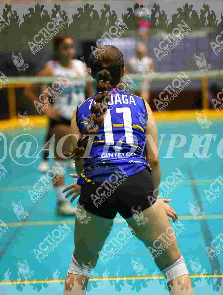 TIGRES F Foto 11