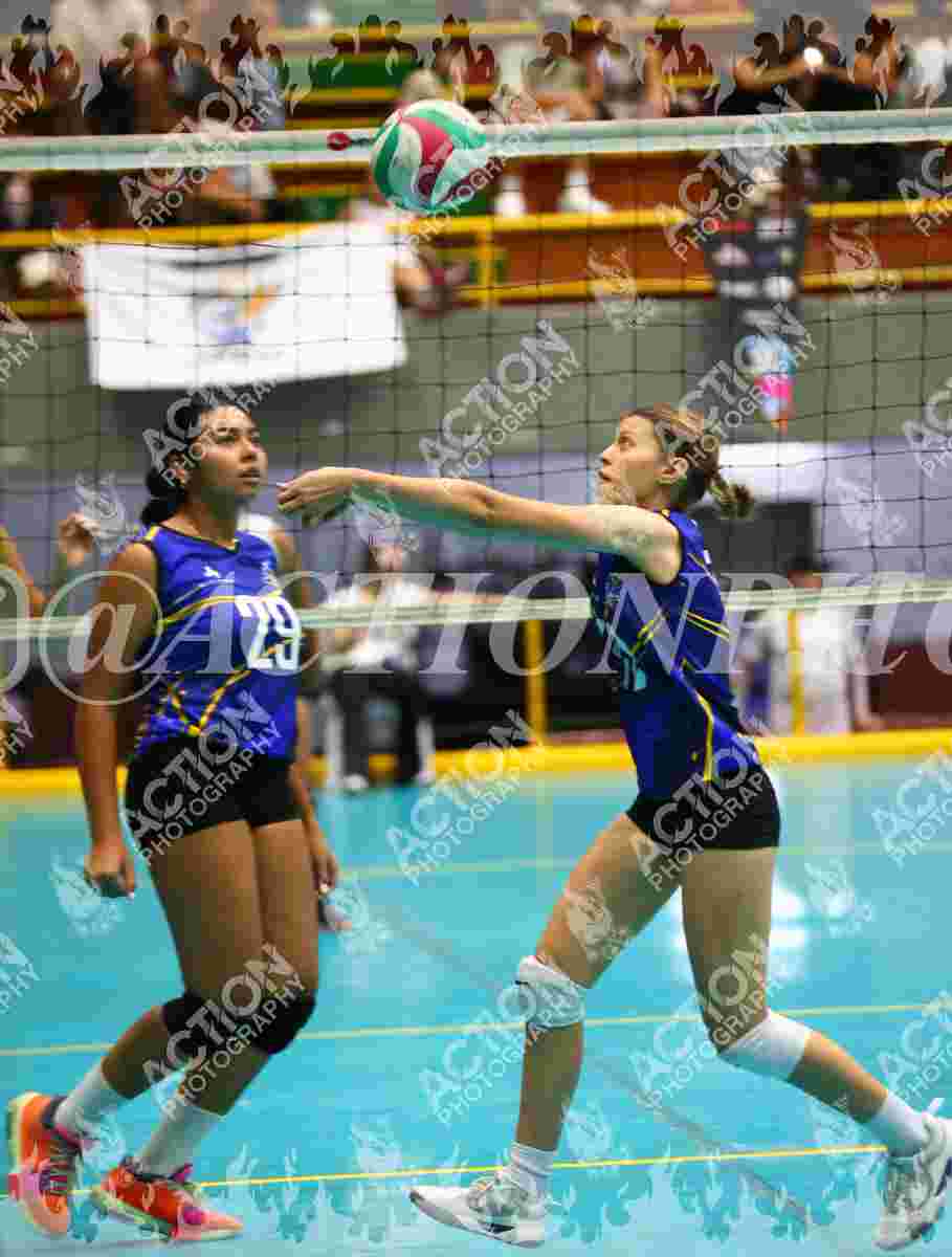 TIGRES F Foto 11