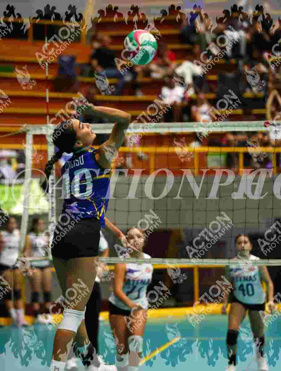 TIGRES F Foto 11