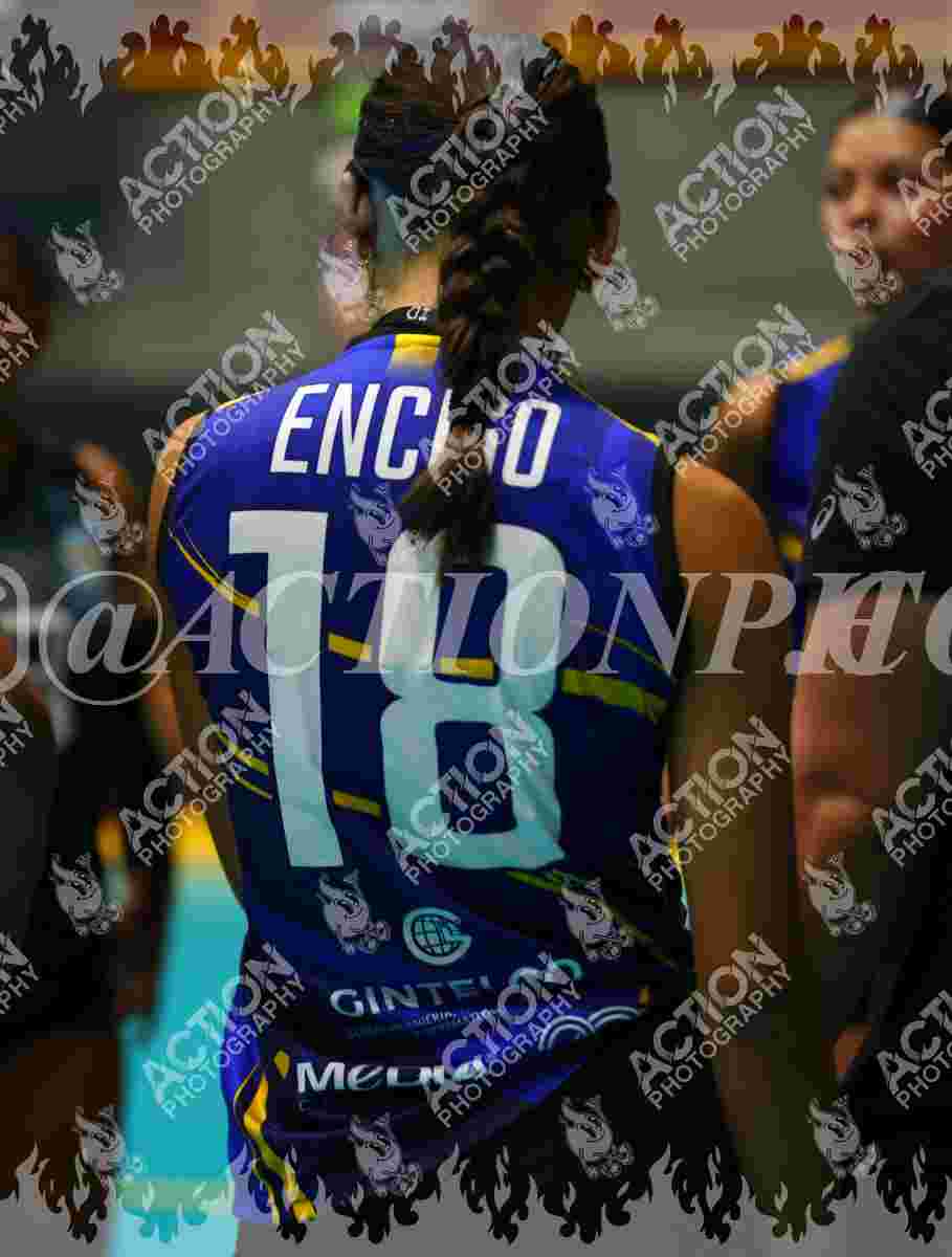 TIGRES F Foto 11