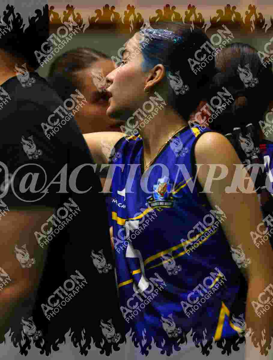 Preview de TIGRES F