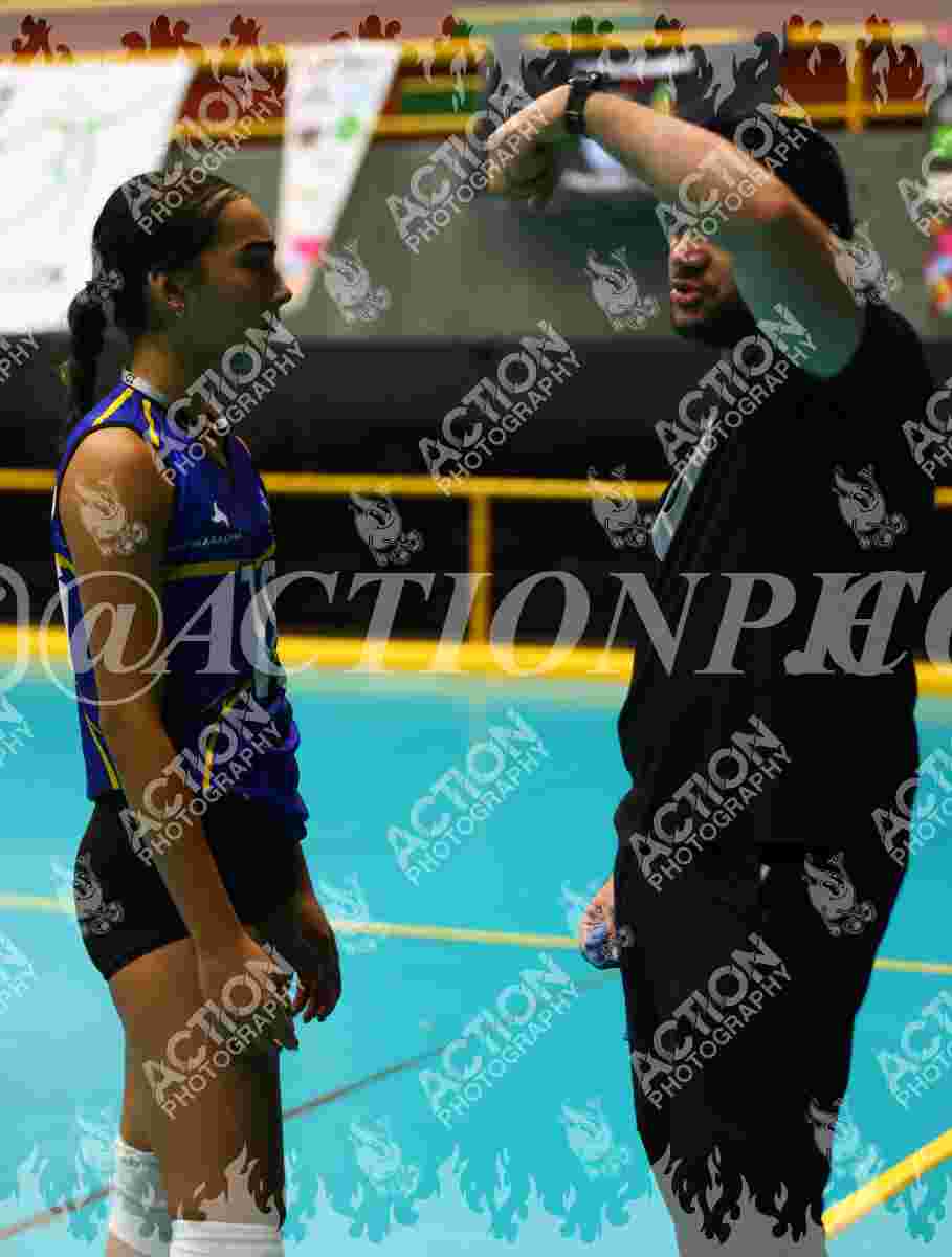 TIGRES F Foto 11