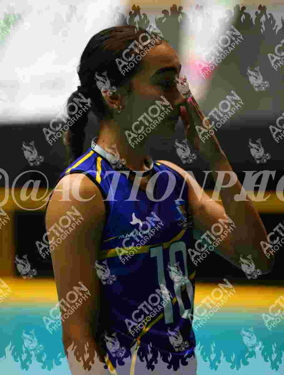 TIGRES F Foto 11