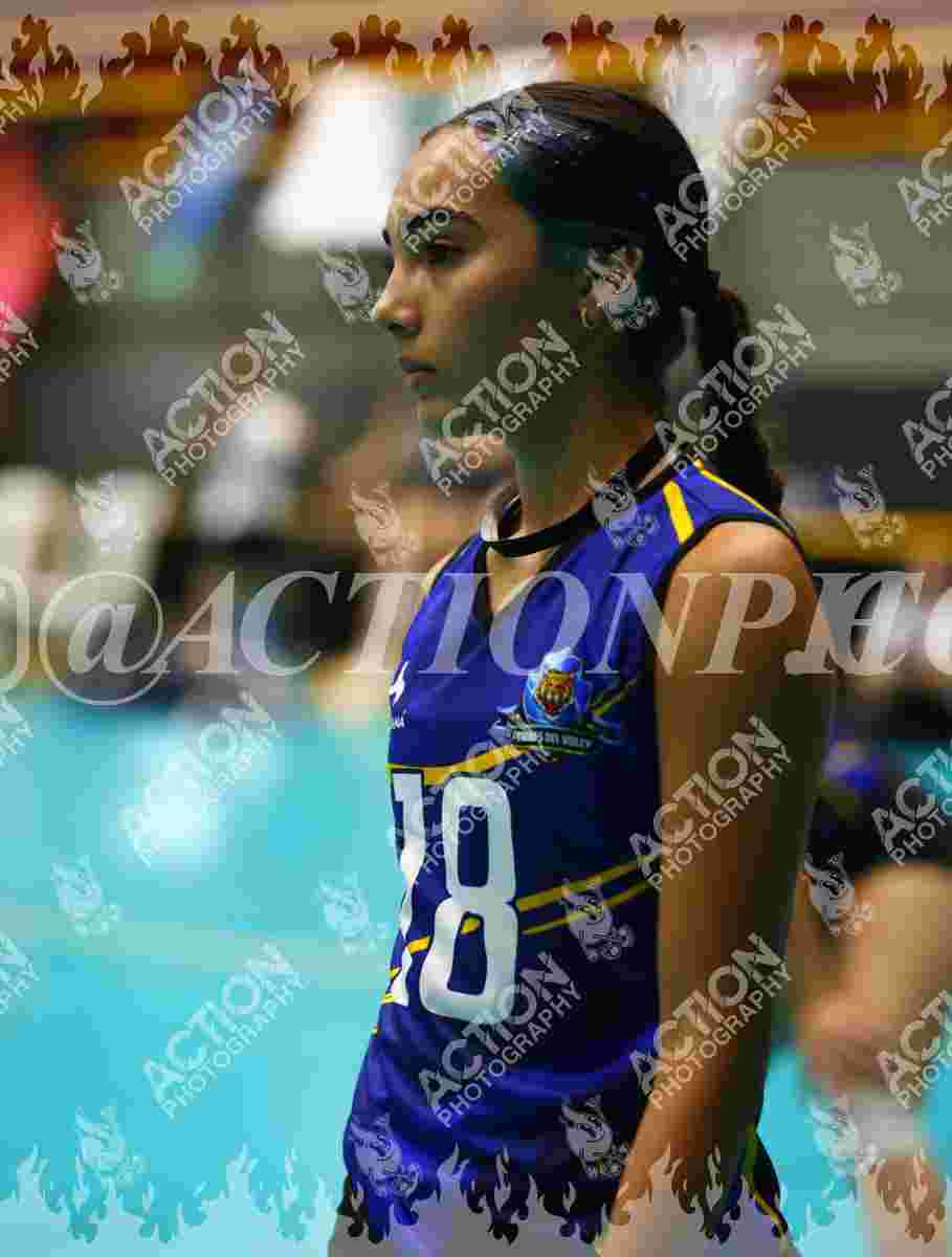 TIGRES F Foto 11