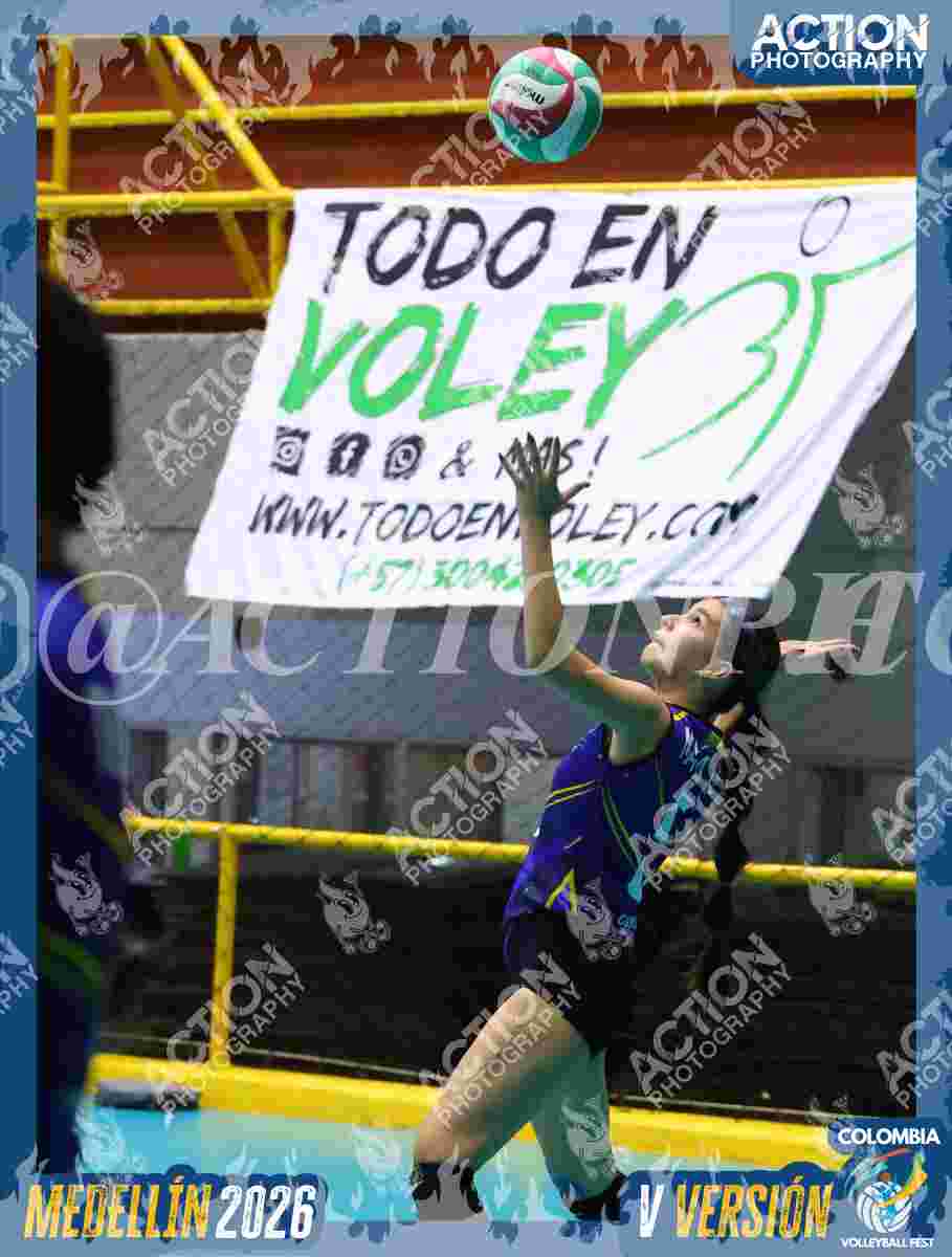 TIGRES F Foto 1