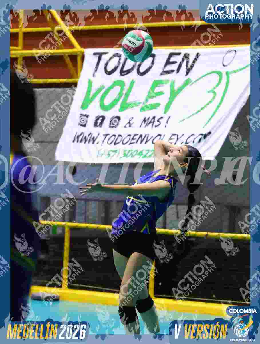 TIGRES F Foto 1