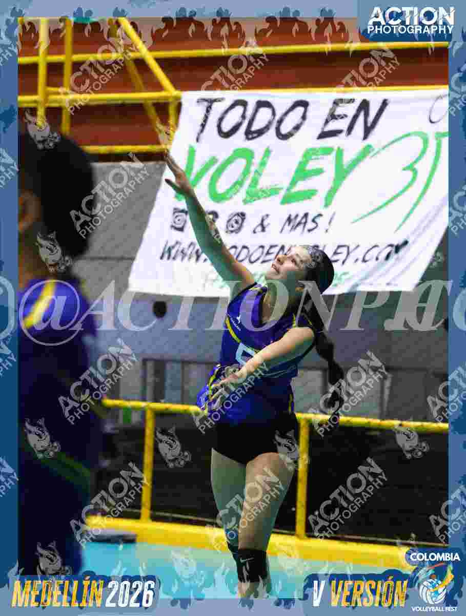 TIGRES F Foto 1