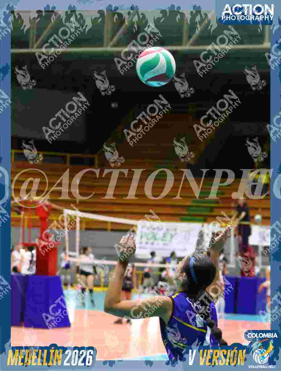 TIGRES F Foto 1
