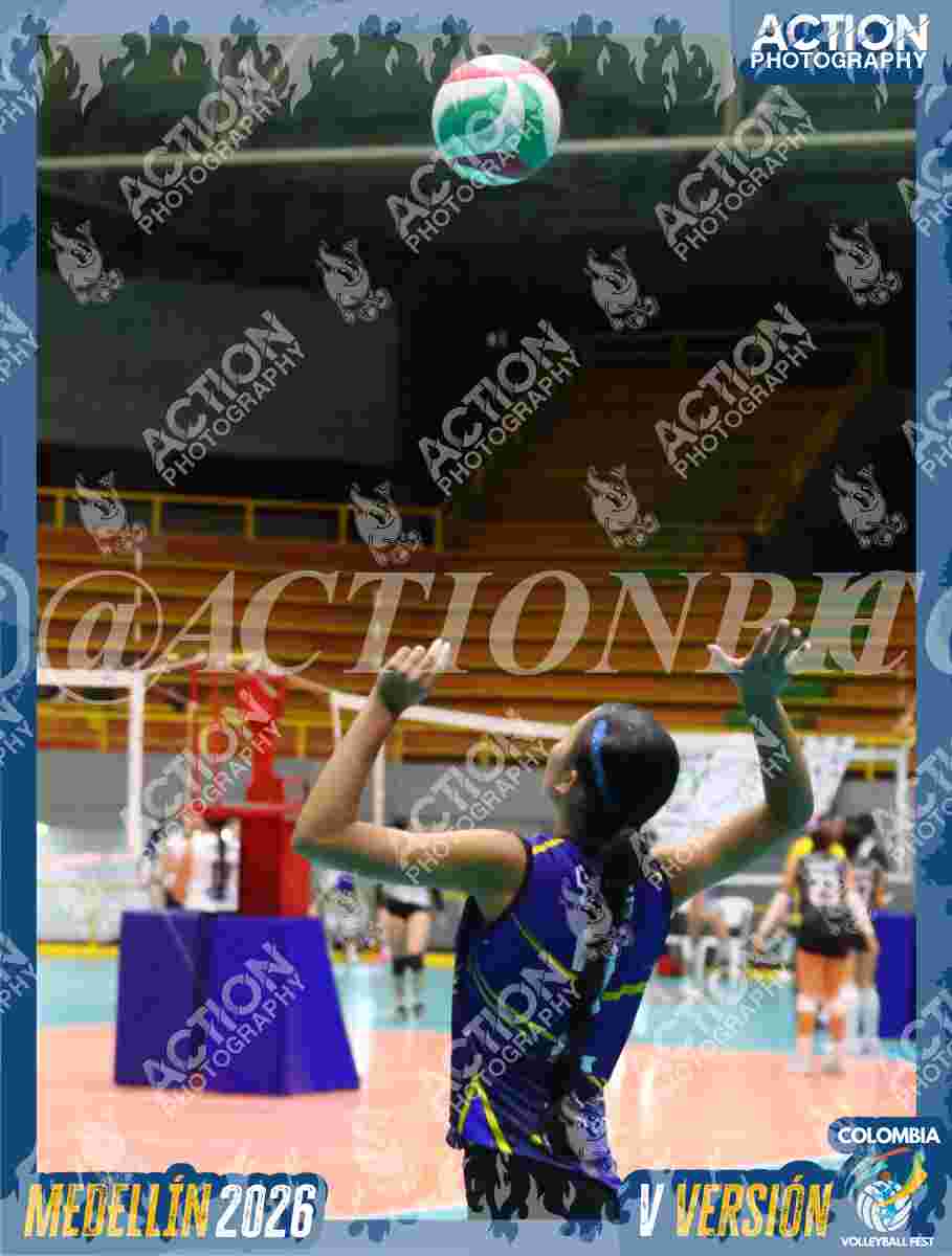 TIGRES F Foto 11