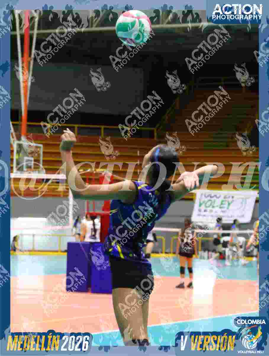 TIGRES F Foto 1