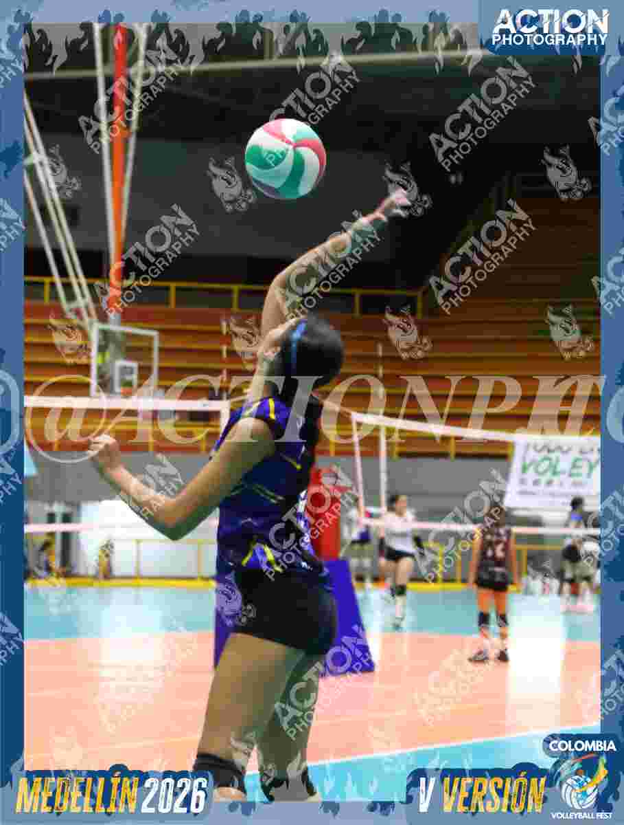 TIGRES F Foto 1