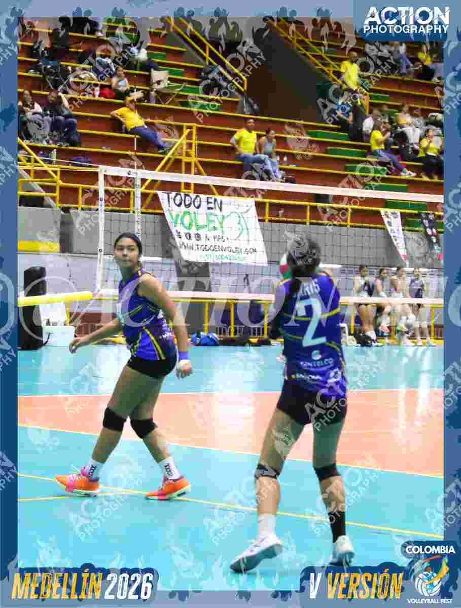 TIGRES F Foto 1